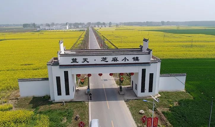 省长王凯深入平舆县调研