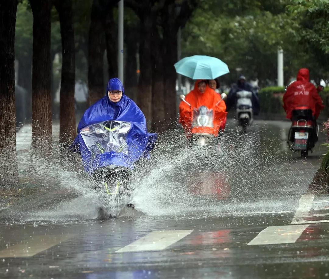 做好防范！今起河南大风降温降雨齐上阵，这份安全提示给你“加温”