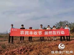 爱心助农 驻马店居然之家积极帮扶上门采购红薯