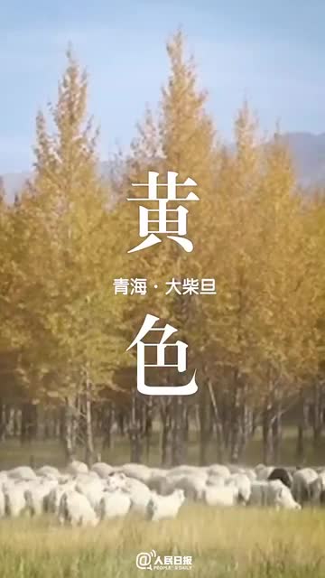 每一帧都很治愈！这就是中国的盛世美颜