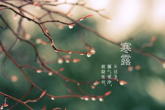 今日寒露｜袅袅凉风动 凄凄寒露零