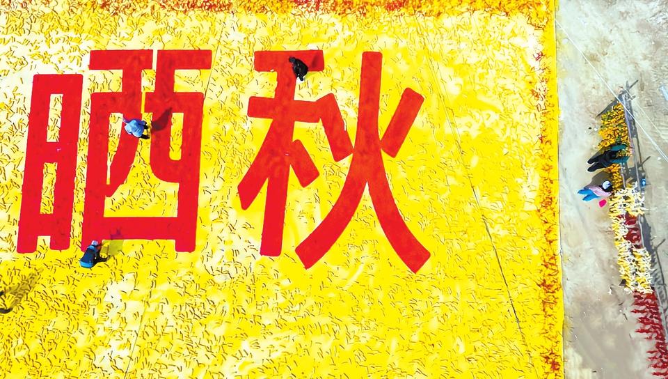 家国一同浪漫 河南别样精彩