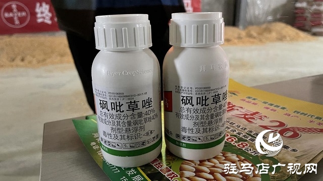 华夏种植合作社成功召开多花黑麦草除草培训会