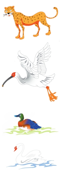 p70_b.jpg