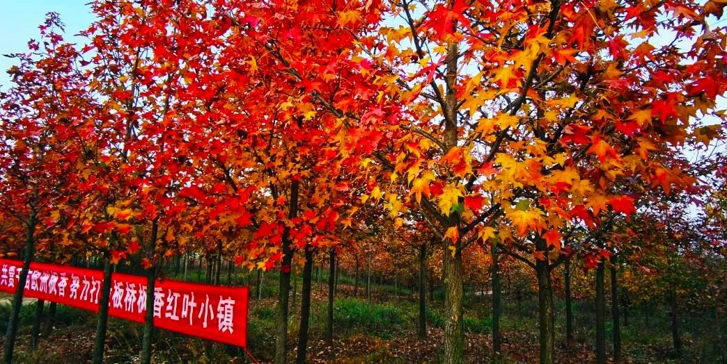 微信图片_20211101162906.jpg