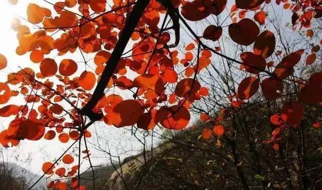 微信图片_20211101162914.jpg