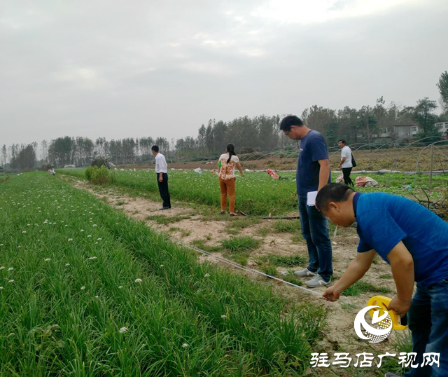 汝南县梁祝镇满永强：从贫困户变成致富带头人