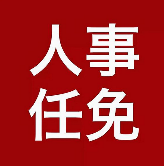 河南多地发布最新人事任免