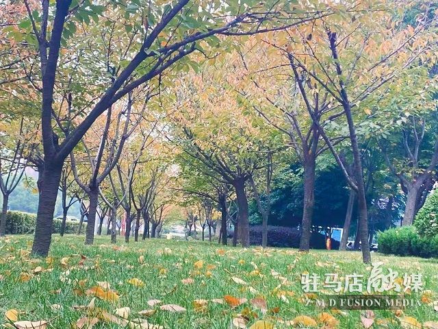 微信图片_20211104182353.jpg