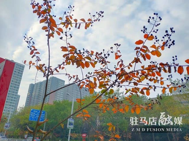 微信图片_20211104182322.jpg