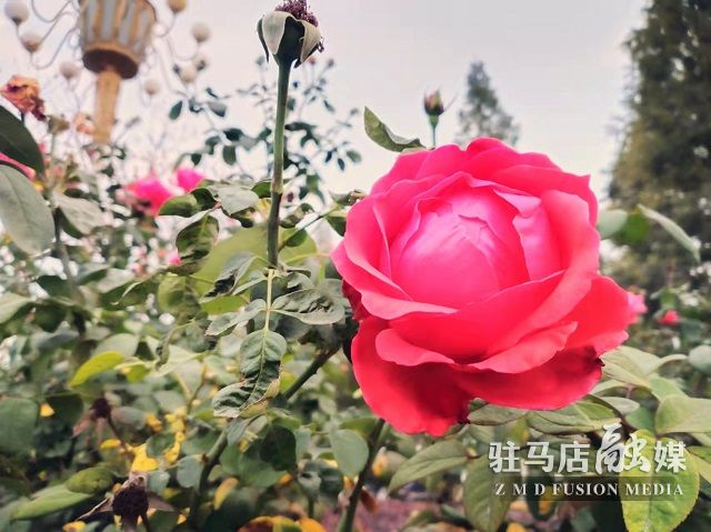 微信图片_20211104182341.jpg