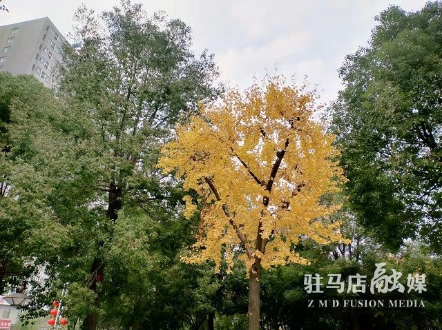 微信图片_20211104182328.jpg