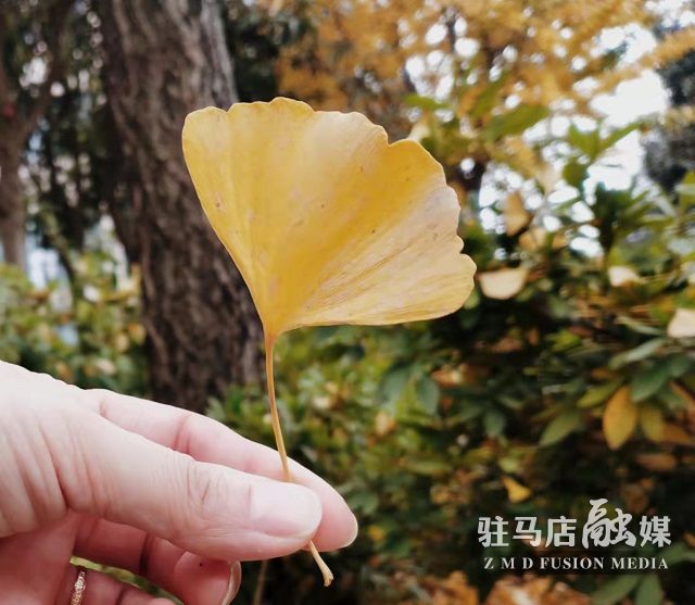 微信图片_20211104182325.jpg