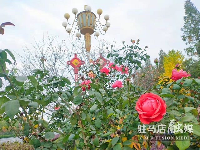 微信图片_20211104182338.jpg