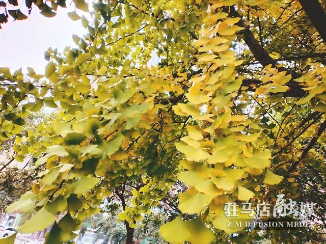 微信图片_20211104182331.jpg