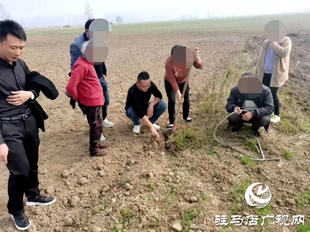 平舆县玉皇庙乡：耕地边界惹纷争 耐心调解化矛盾