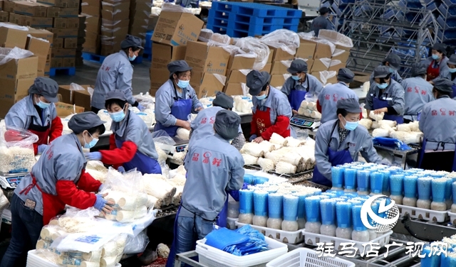 驻马店市新闻战线庆祝第二十二个记者节集中采风