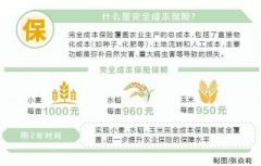 减轻种粮负担“旱涝保收”不难 我省为小麦水稻玉米上“全险”