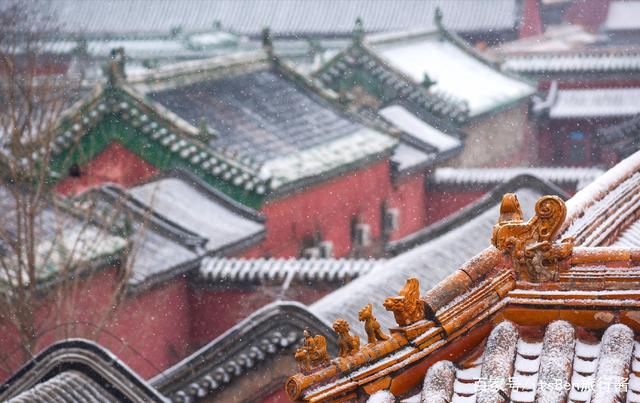 一起邂逅雪景大片！来故宫，看初雪