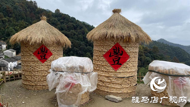 六丰农业组团参加荃银玉米精英合作伙伴交流会