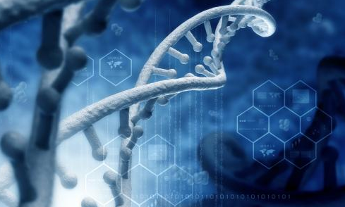 聚焦生态、医疗、信息 2021年度人类社会发展十大科学问题发布