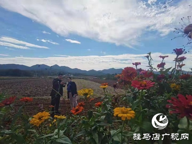 驻马店市驿城区蚁蜂镇：山青水秀美如画