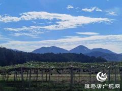 驻马店市驿城区蚁蜂镇：山青水秀美如画