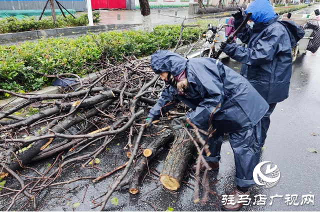 驻马店市12345政务热线快速响应 及时处置市民诉求