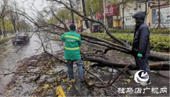 驻马店市12345政务热线快速响应 及时处置市民诉求