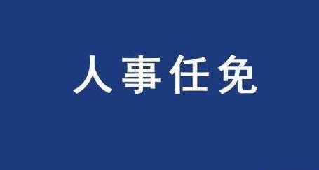 河南省政府发布一批人事任免 涉多个政府职能部门和高校