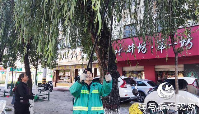 树枝扰行人 园林工人忙修剪