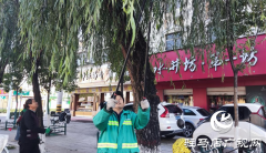 树枝扰行人 园林工人忙修剪