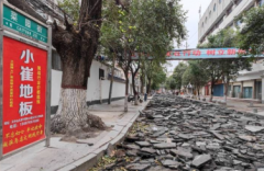 请注意绕行！驻马店这两条道路将进行沥青铺设