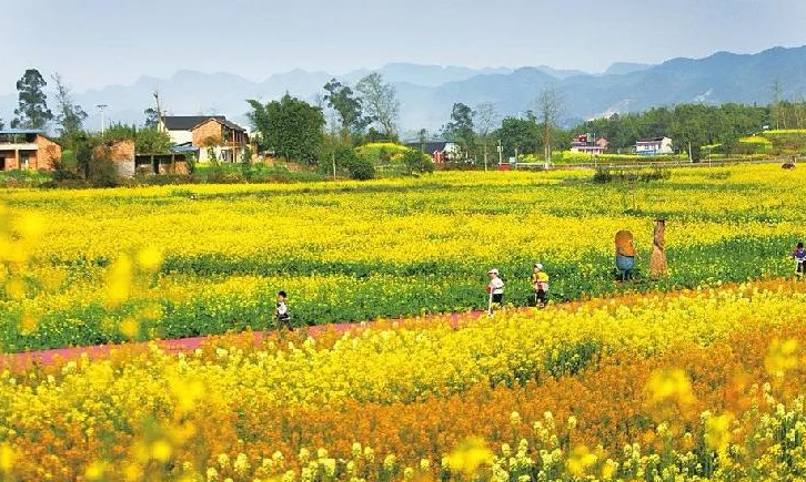 遂平：“教育农场”解锁乡村旅游发展新模式