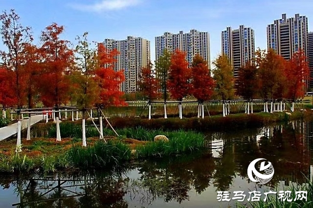 冬日初始时 暖阳耀天中