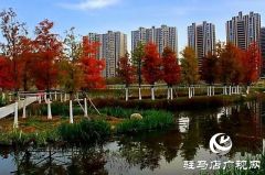 冬日初始时 暖阳耀天中