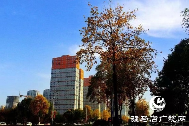 冬日初始时 暖阳耀天中