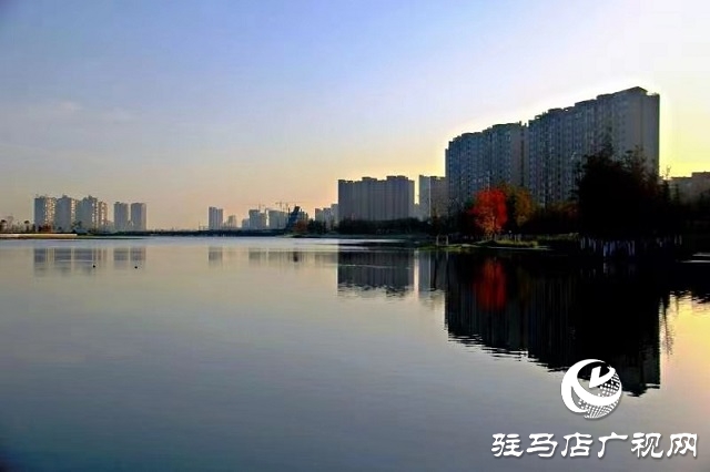 冬日初始时 暖阳耀天中