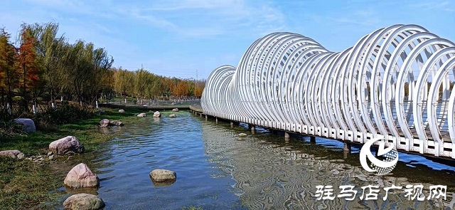 驻马店：初冬滨河惹人醉