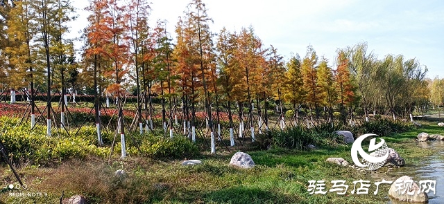 驻马店：初冬滨河惹人醉