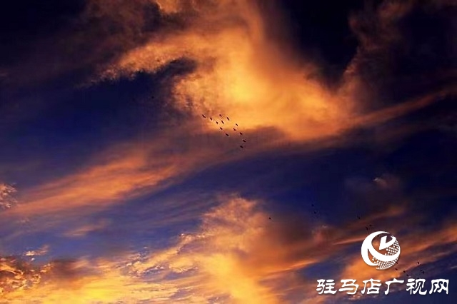 驻马店：冬日余晖别样美
