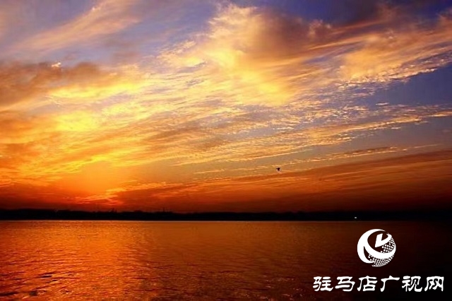 驻马店：冬日余晖别样美