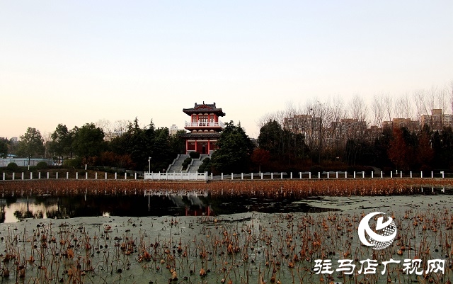 驻马店：初冬公园掠影