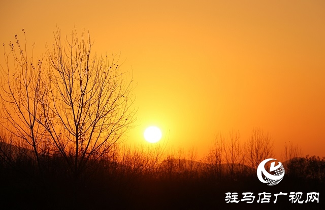 驻马店：初冬公园掠影