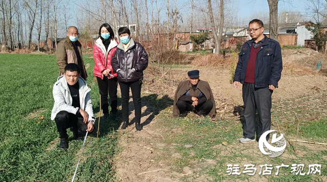 平舆县玉皇庙乡：成功调节田间道路通行受阻纠纷受称赞
