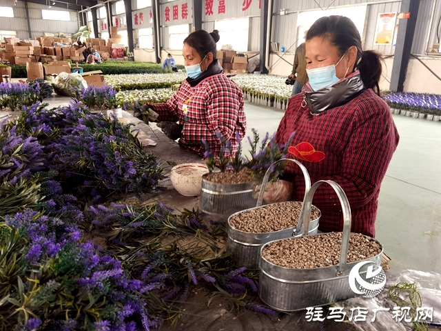 河南驻马店：仿真花成农民致富花