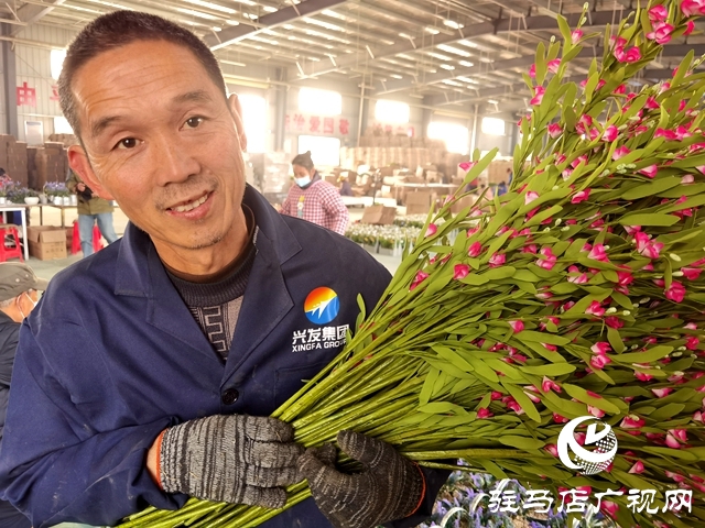河南驻马店：仿真花成农民致富花