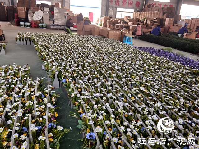 河南驻马店：仿真花成农民致富花