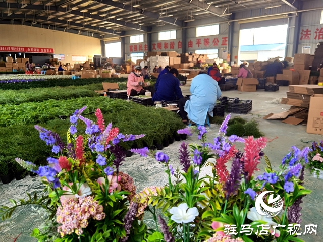 河南驻马店：仿真花成农民致富花