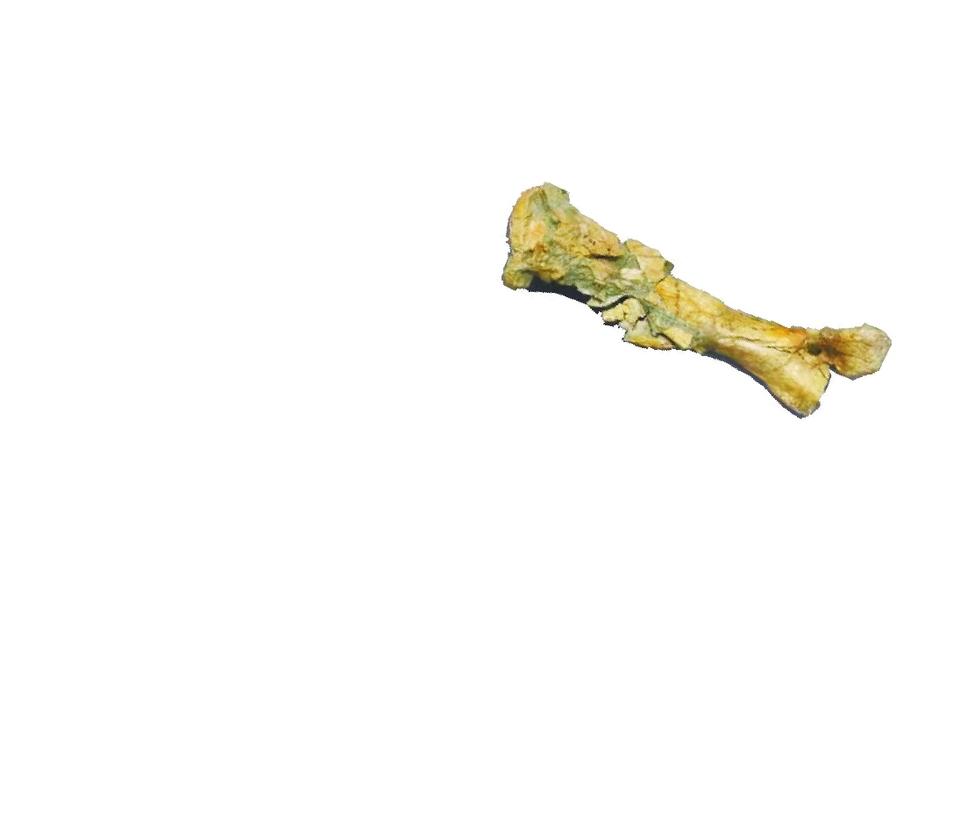 1639094399173271.jpg